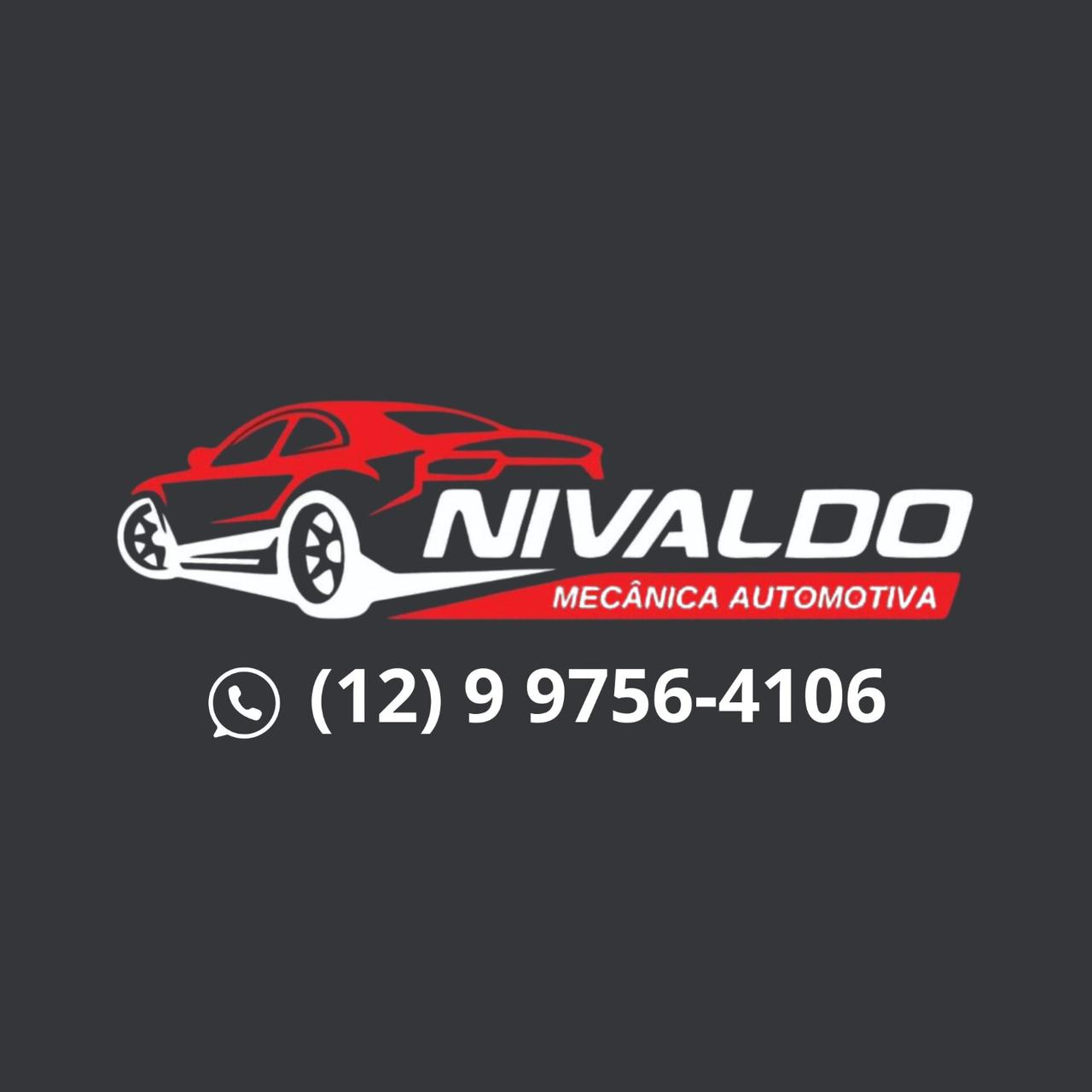 Nivaldo - logo